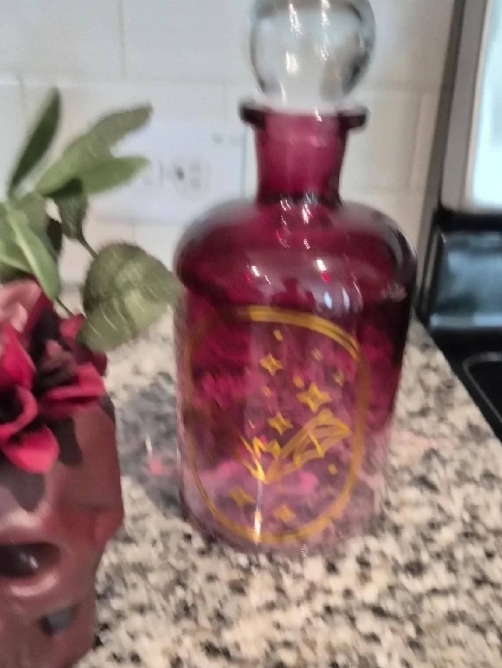 Burgundy Skull Planter with 2 Glass Jars Set Halloween